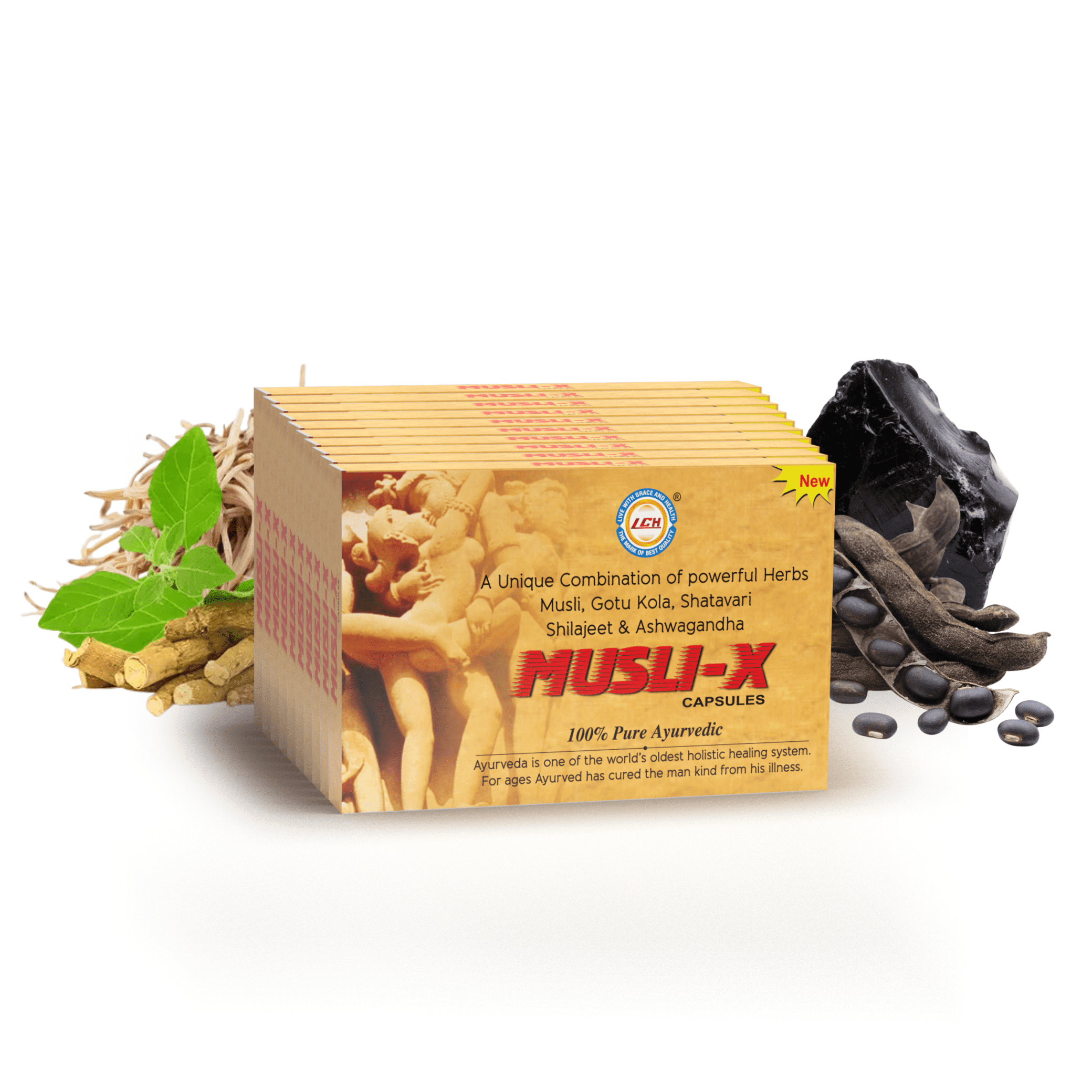 LGH Musli X Capsules, Ayurvedic Vitality & Energy Support, 100 Capsules - Image 5